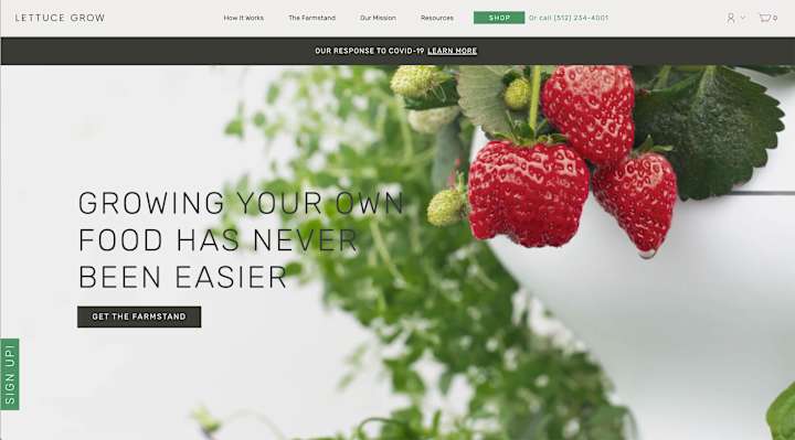 Cover image for Lettuce Grow Website