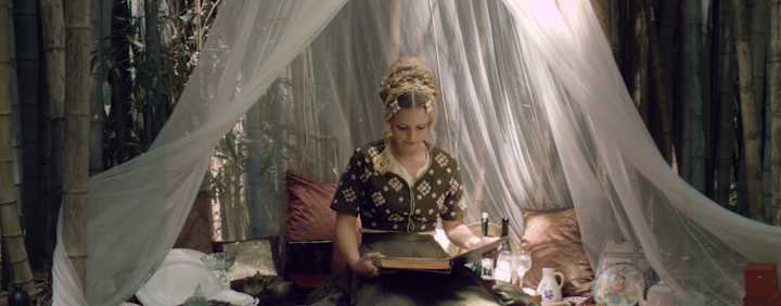 Cover image for SocialAnimal