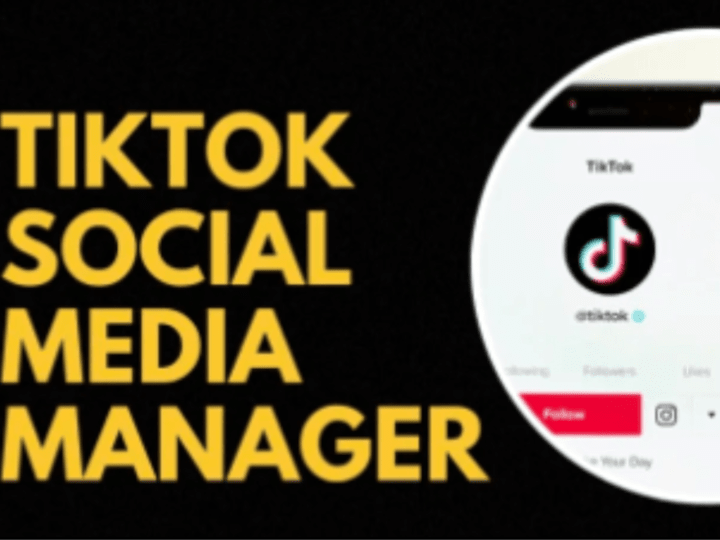 Cover image for TikTok Social Media Manager & strategist