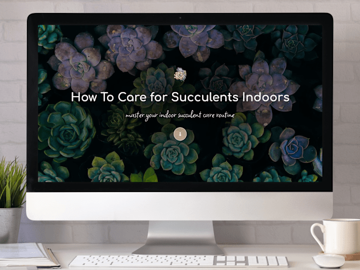 Cover image for IndoorSucculentCare.com