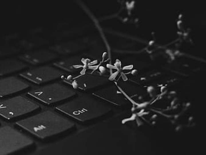Cover image for article writwer