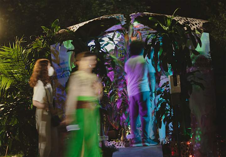 Cover image for Nature Connected: An Immersive Experience