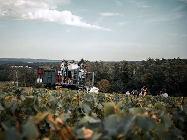 Cover image for Champagne Jean Laurent