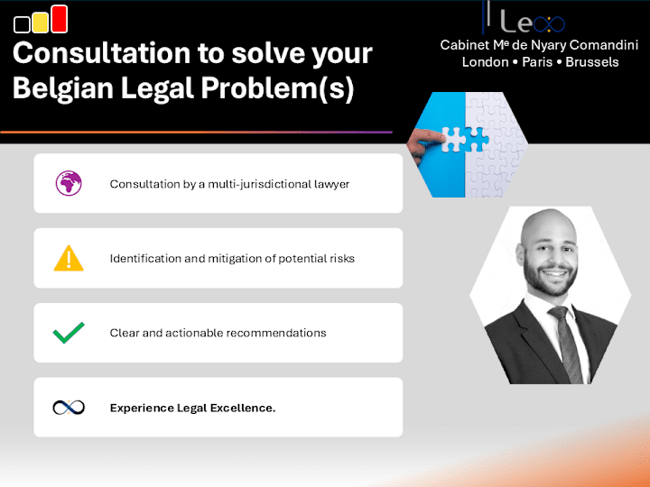 Cover image for Consultation with a Belgian Lawyer