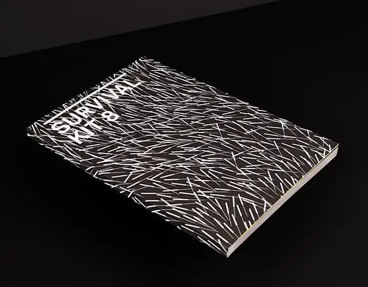 Cover image for Survival Kit 8
