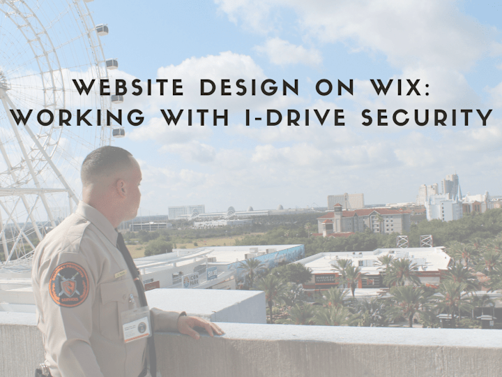 Cover image for Website Design for I-Drive Security