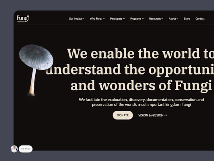 Cover image for Fungi Foundation Web Development & Design