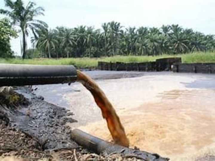 Cover image for 
The Environmental Impact of Brewery Effluent
