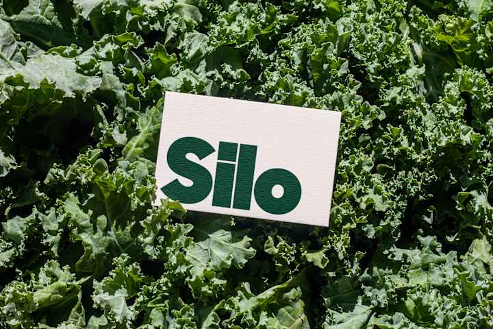 Cover image for Silo