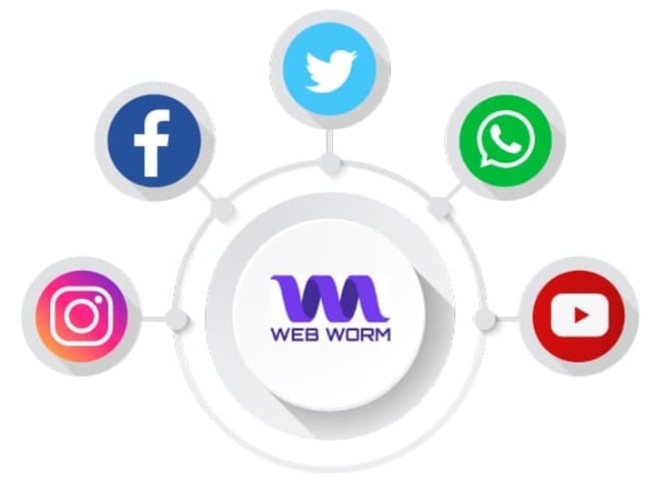 Cover image for Social Media Marketing Campaign for E-commerce Store