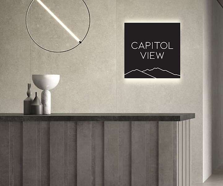 Cover image for Capitol View Brand Identity System