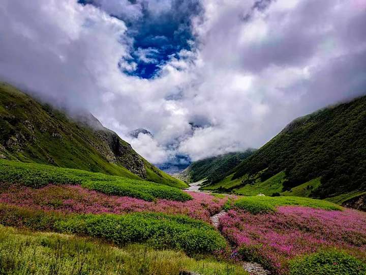 Cover image for Best Monsoon Treks in the Himalayas