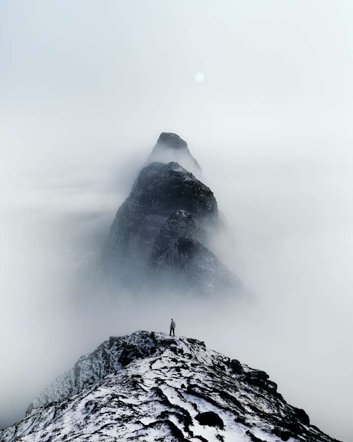 Cover image for Operations Support at Contra