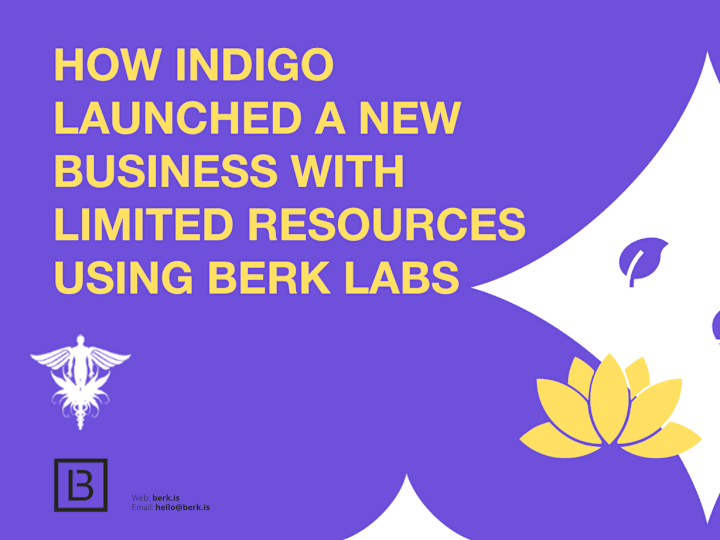 Cover image for Indigo Health's Global Wellness with BERK Labs