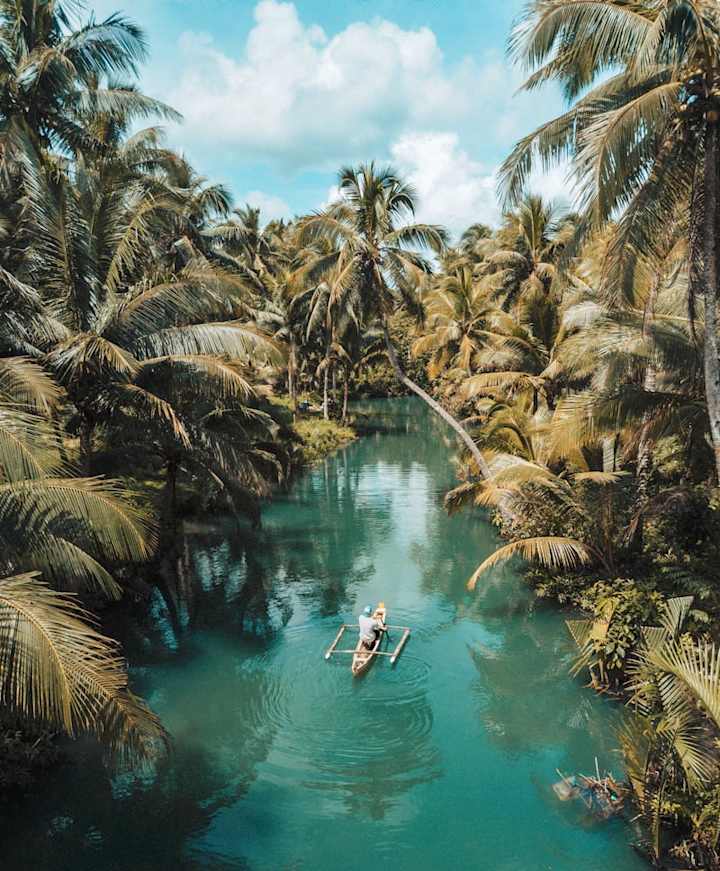 Cover image for  Airbnb Clone
