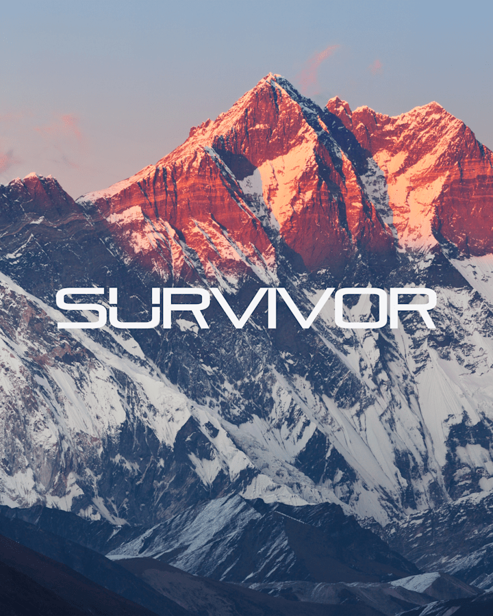 Cover image for Digital Survivor - Brand Identity & Website