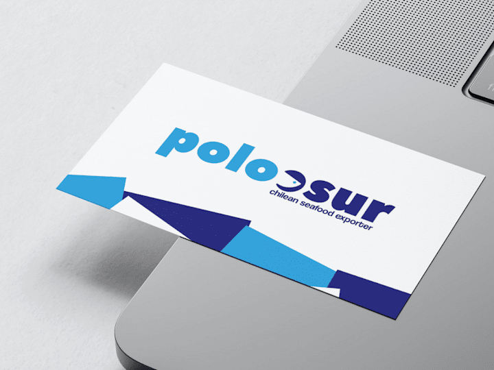 Cover image for POLO SUR | Building a Brand Identity 