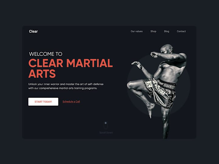 Cover image for Clear Martial Arts | Professional Training 