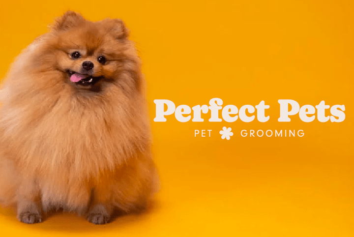 Cover image for Perfect Pets | Branding