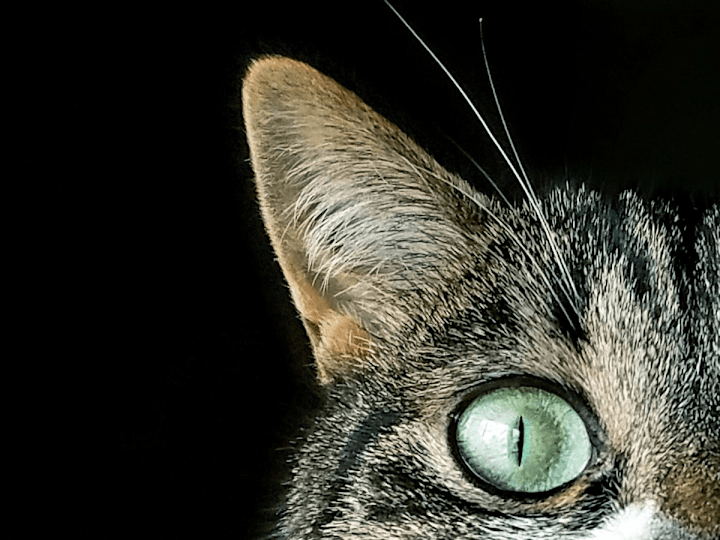 Cover image for Non-profit Blogs