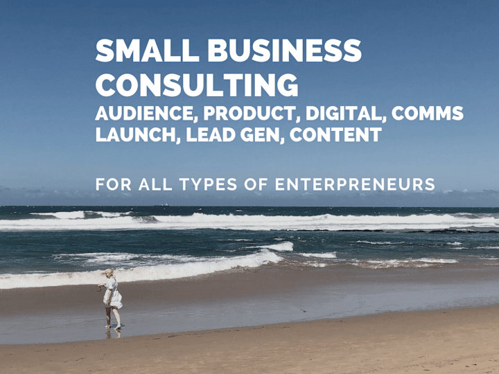 Cover image for Consulting entrepreneurs