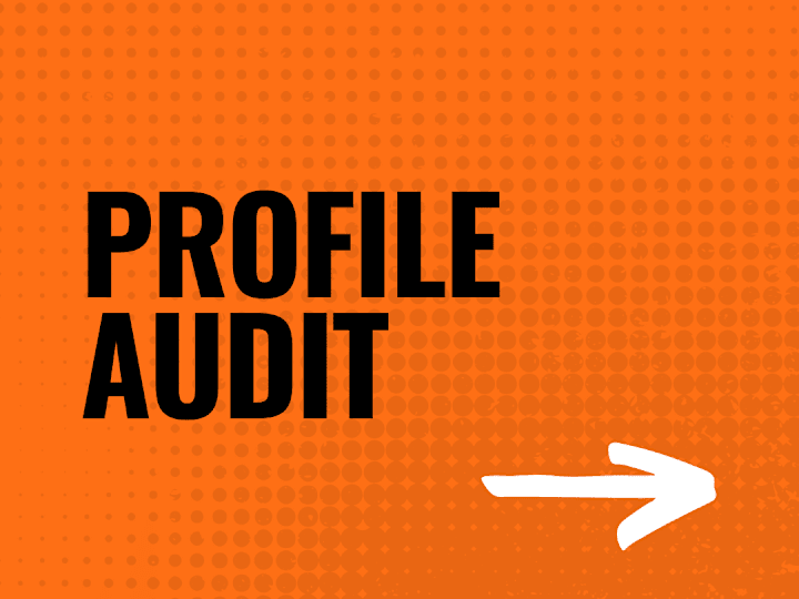 Cover image for Profile Audit 