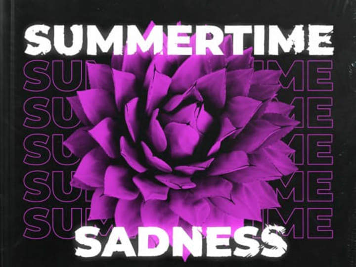 Cover image for Summertime Sadness