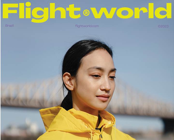 Cover image for Flight World