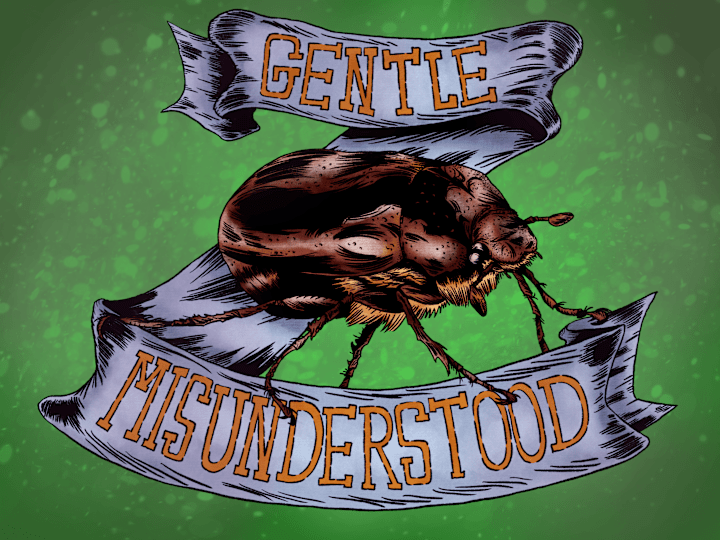 Cover image for June 03rd 2023 - The Gentle and Misunderstood Junebug 