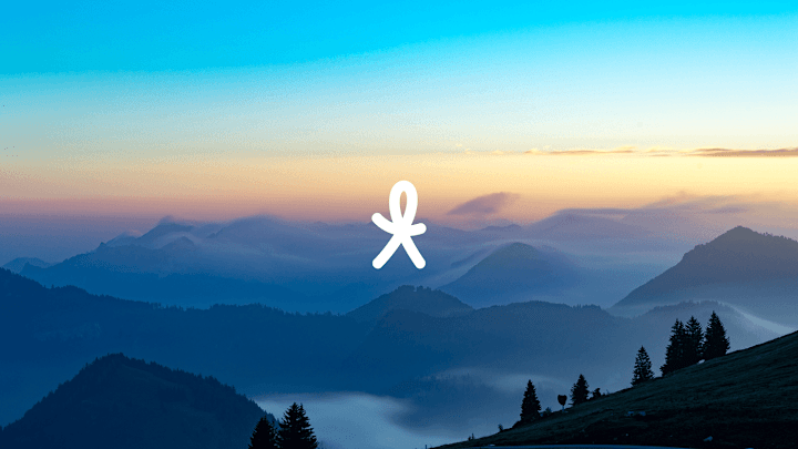 Cover image for Travander Brand Design