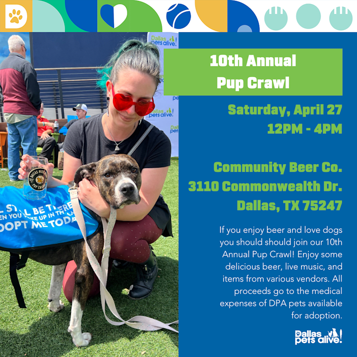 Cover image for Dallas Pets Alive! - Volunteer Social Media Assistant