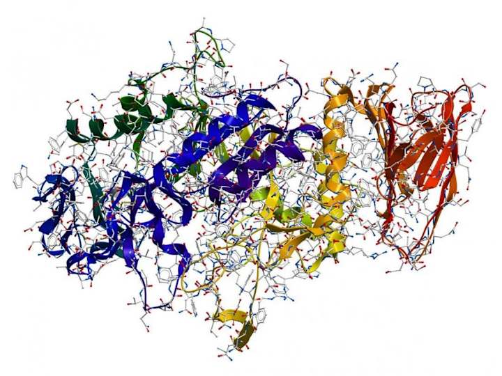 Cover image for Article for students on Enzymes