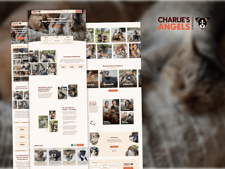 Cover image for Charlie's Angels | Foster Home-Based Dog & Cat Rescue