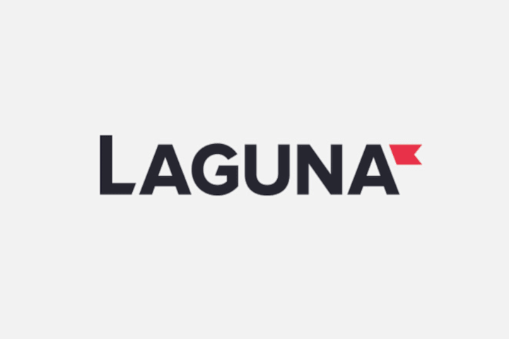 Cover image for Laguna