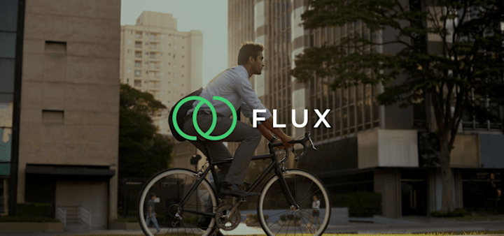 Cover image for Flux : Brand Identity