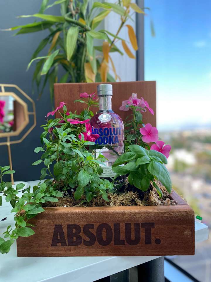 Cover image for Absolut Garden – Earth Day Activation