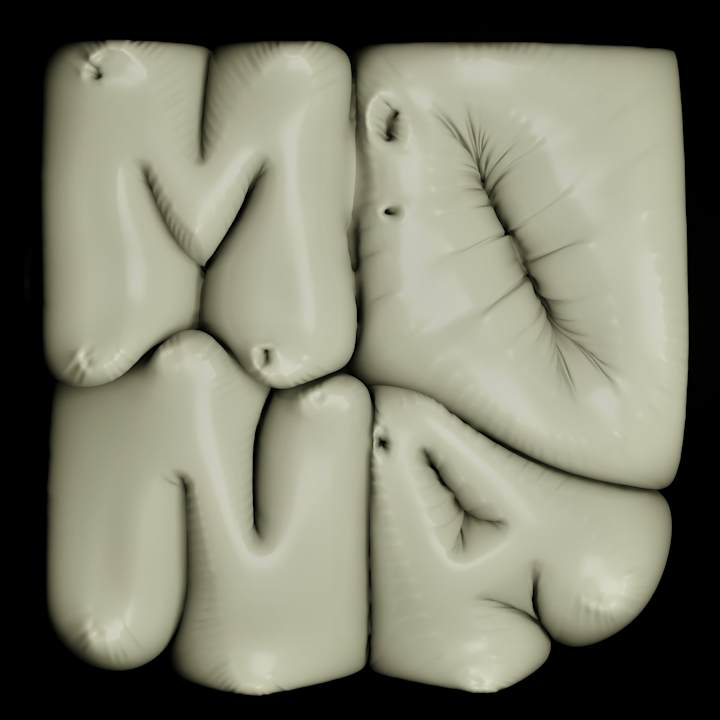 Cover image for Inflatable Letters