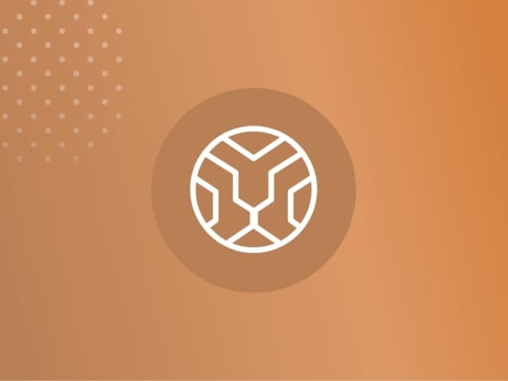 Cover image for Omadli Group