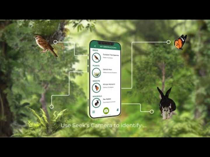 Cover image for Seek app promo