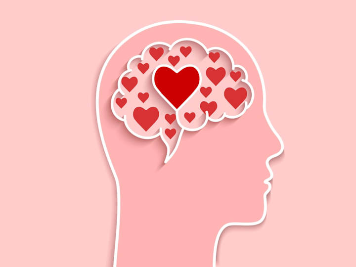 Cover image for Your Brain on Love-WCC STEM Scholars Newsletter May 2023