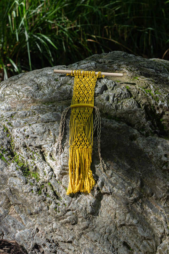 Cover image for Product photos for a macramé brand