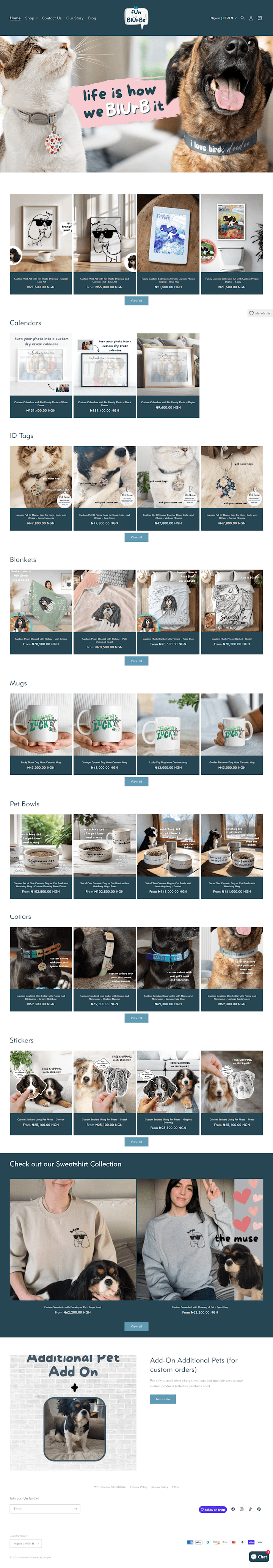 Cover image for Shopify Website Design for Fun Blurbs