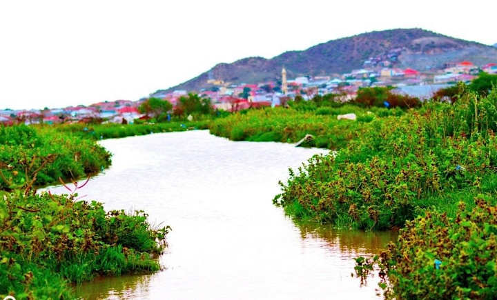 Cover image for Borama, Somaliland: Somali’s Solace City