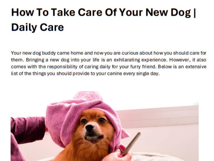 Cover image for Pet Care Article