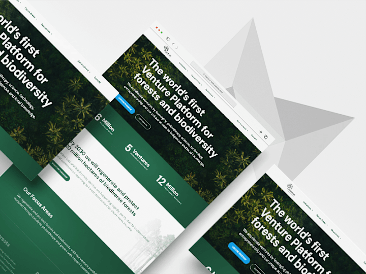 Cover image for Framer Web Development | Brain Forest Venture Platform