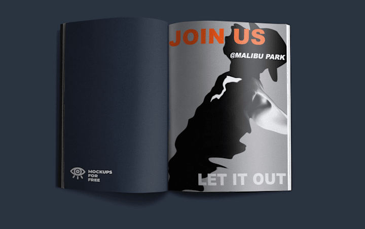 Cover image for GRAPHIC DESIGNS