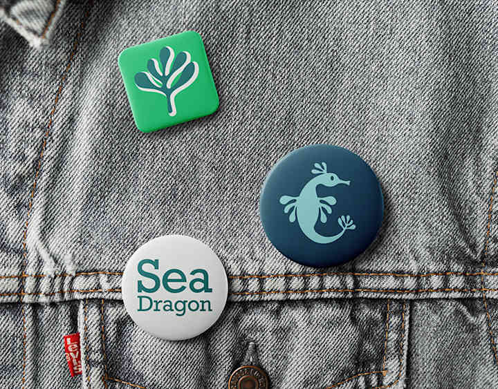 Cover image for Seadragon Publishing: Brand Identity