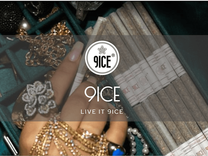 Cover image for 9ice.in