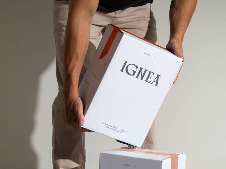 Cover image for IGNEA