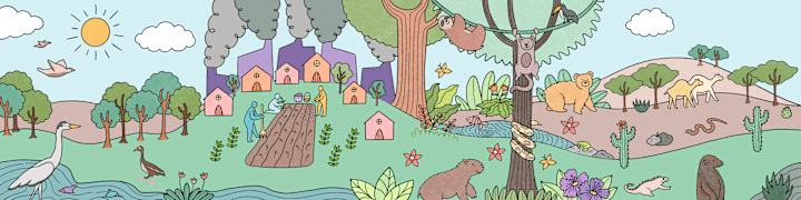 Cover image for Animation for Environmental Day - UNDP